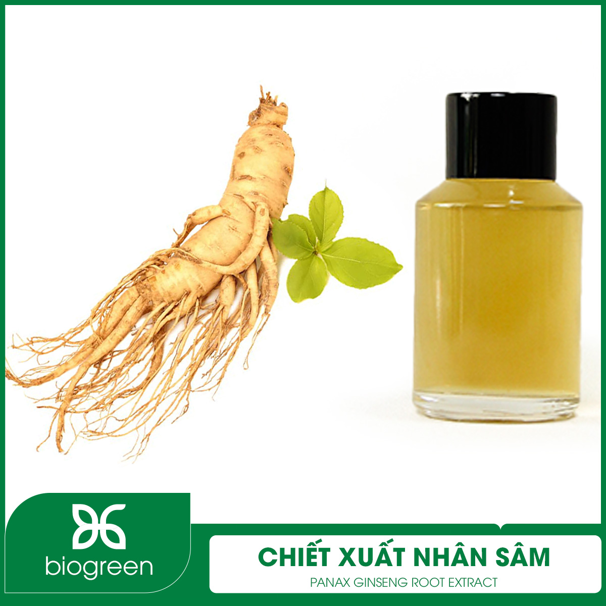 Ưu điểm của chiết xuất nhân sâm